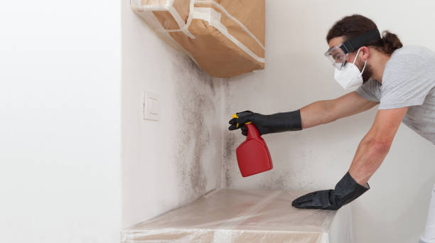 Professional Black Mold Remediation technician working in Onemo, VA